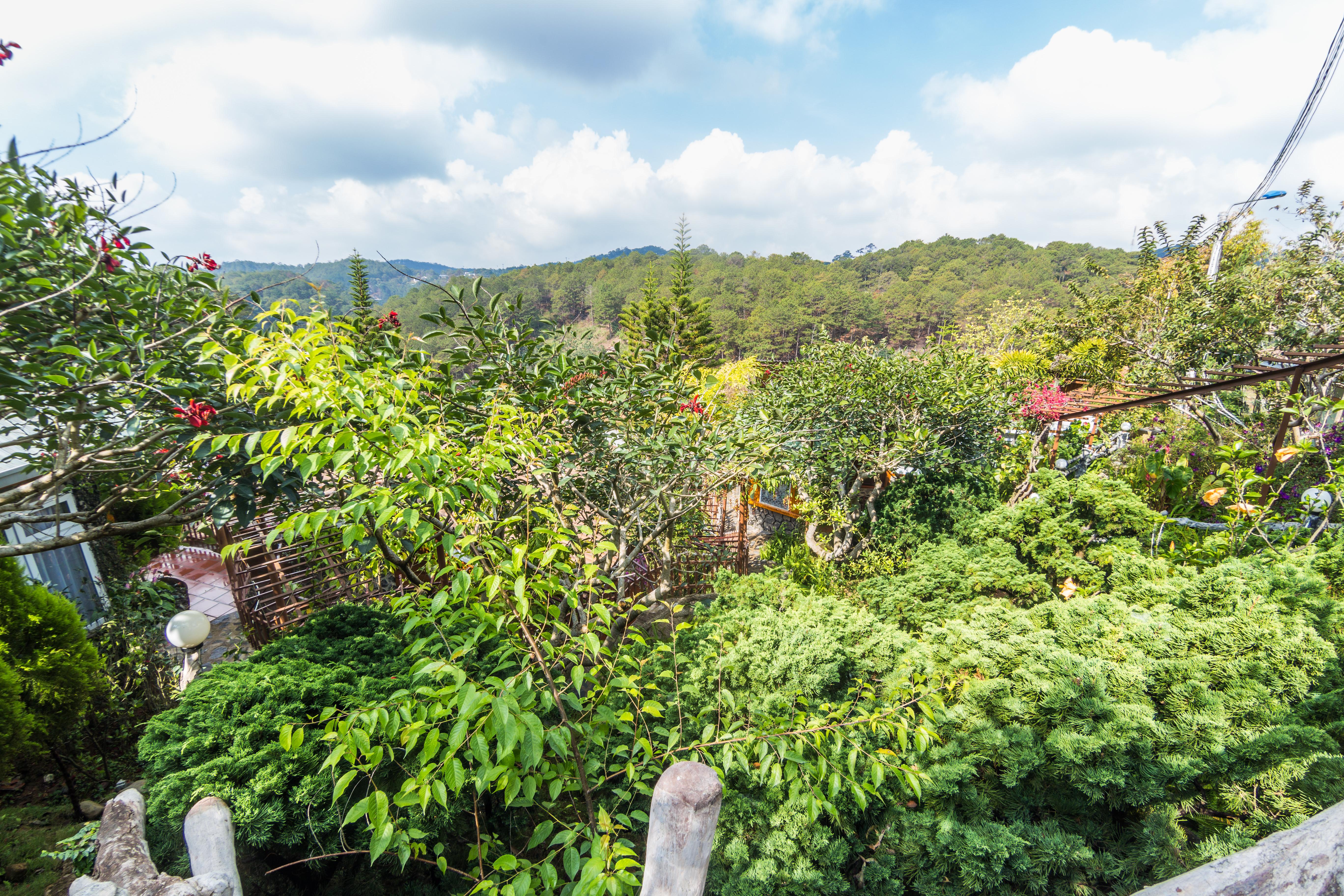 Zen Valley Dalat Екстер'єр фото